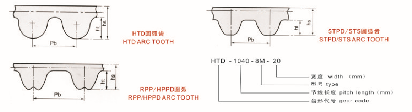 港達(dá)同步帶圓弧齒示意圖